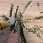 PXL_20260111_132934804